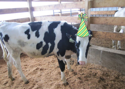 Moogle with birthday hat