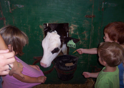 Kids and calves