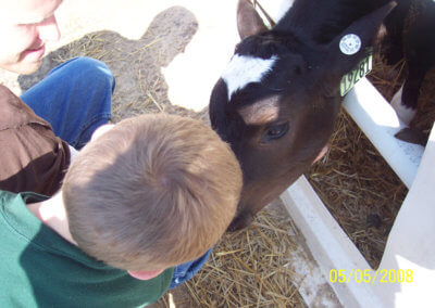 Kids and calves