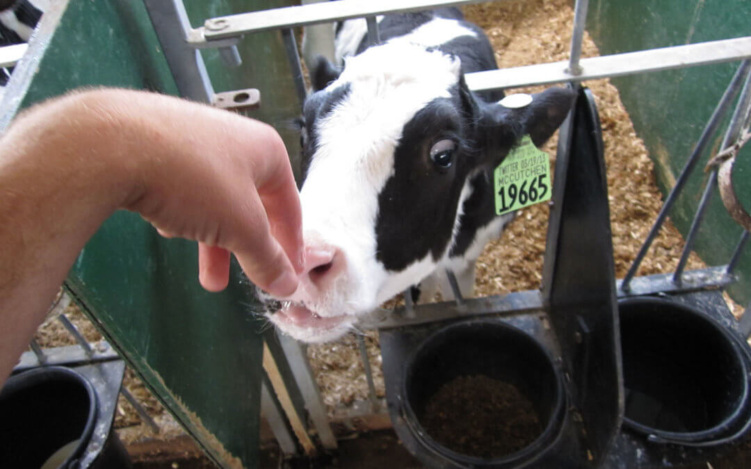 Moogle Report – 5-9-13