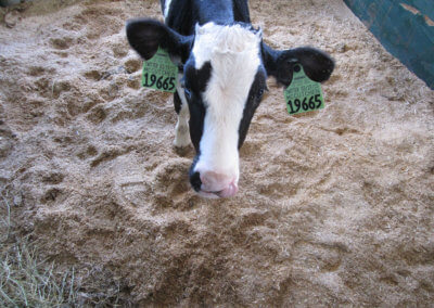 Just wiping my nose here.