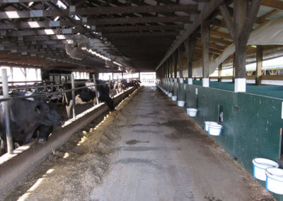 The Cow/Calf Barn