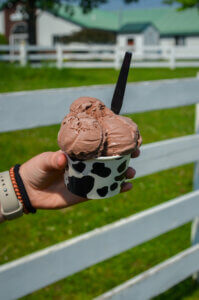 Dutch chocolate ice cream